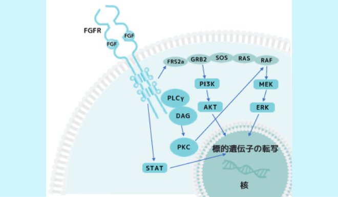thumb_contents_bdc