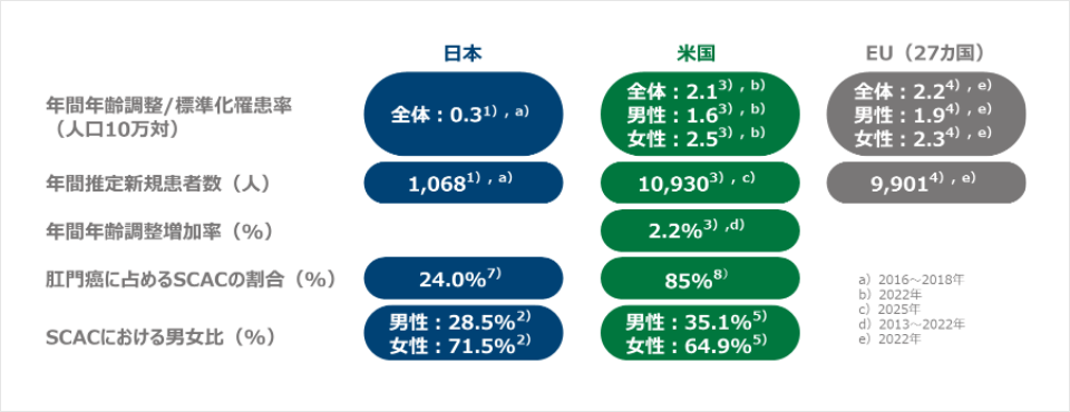 Zynz_肛門管扁平上皮癌（SCAC）の特徴_2
